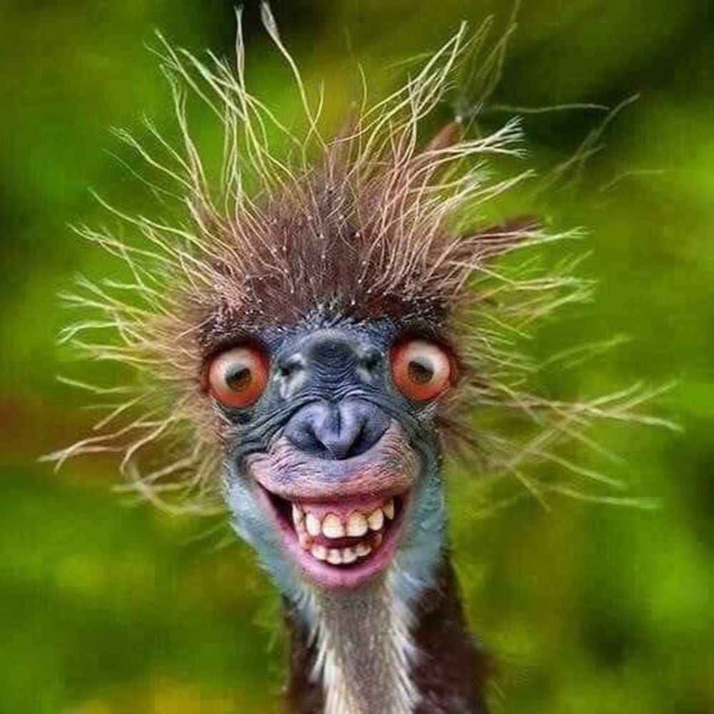 Meet your Posher, Maria